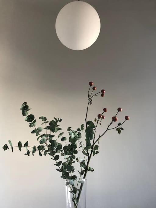 Big Bright Cozy Studio Apartment In Nolo Near Mm1 밀라노 외부 사진
